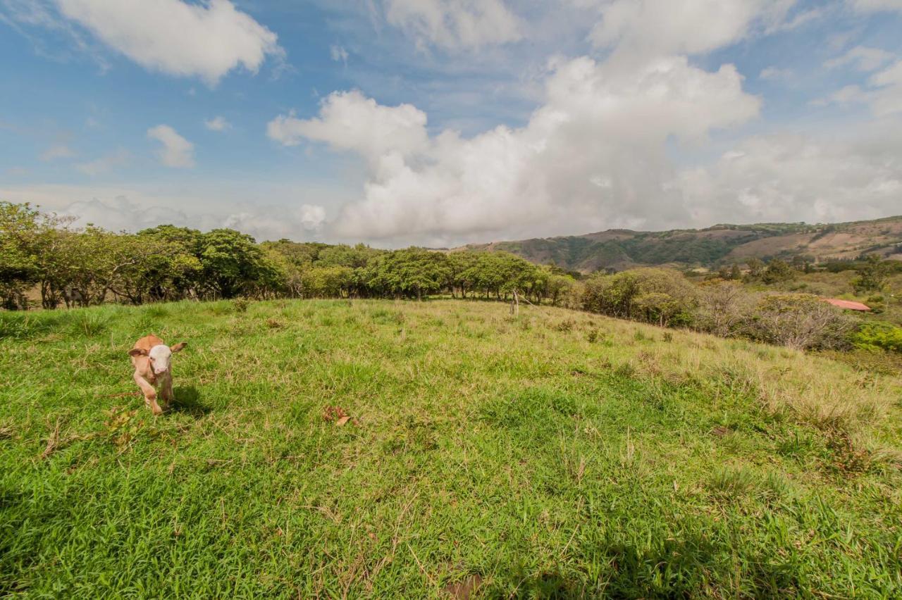 Cabanas Valle Campanas - Monteverde, Costa Rica מראה חיצוני תמונה